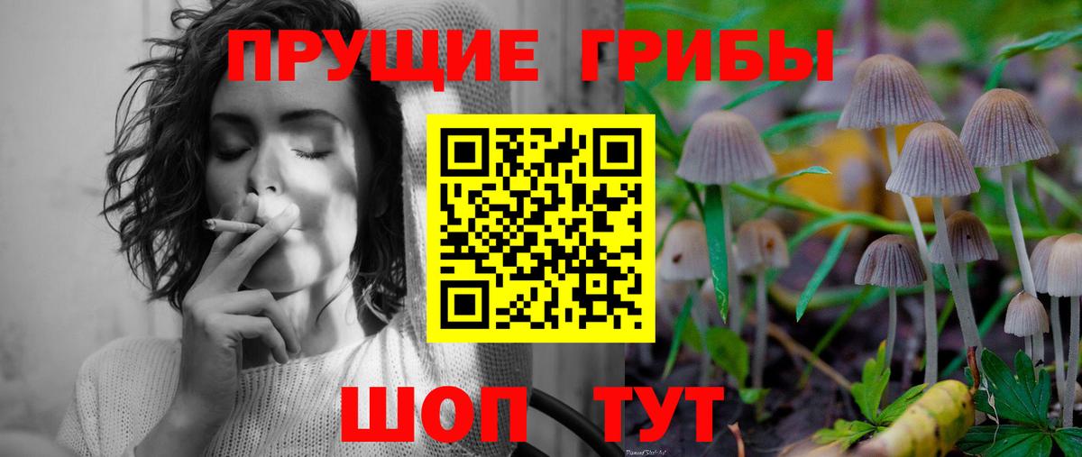 наркота  Вход с VPN  Мариинск  Псилоцибиновые грибы прущие грибы 