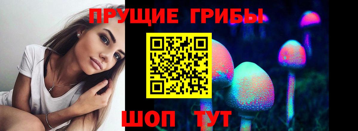 Галлюциногенные грибы прущие грибы Мариинск